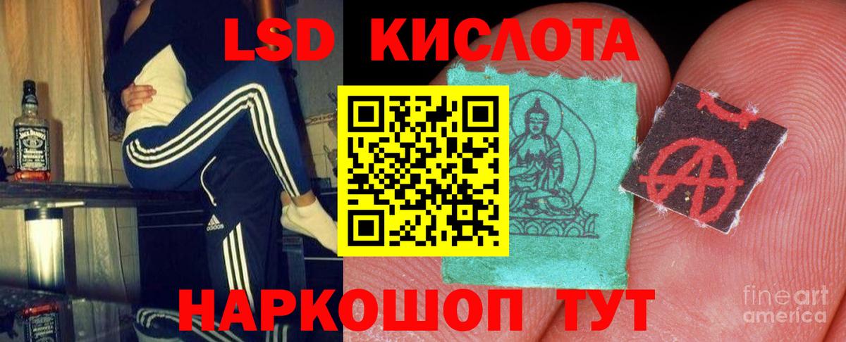 Лсд 25 экстази ecstasy  Вход с VPN  Елизово 